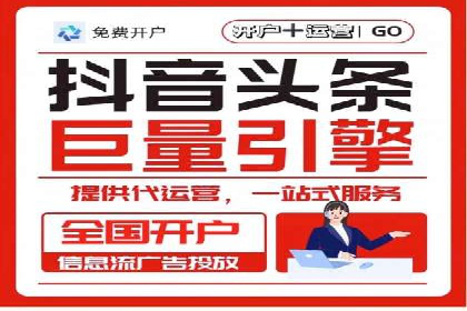 SEM代理案例：揭秘成功背后的秘密
